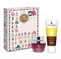 Christmas Gift Box